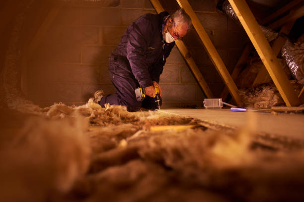 Best Insulation for Existing Homes  in Pensacola, FL