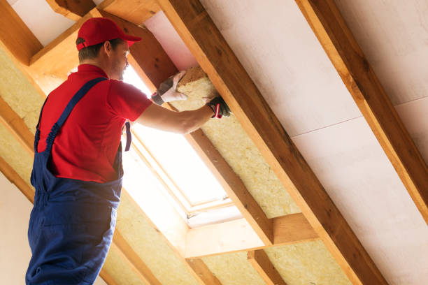 Best Commercial Insulation Services  in Pensacola, FL